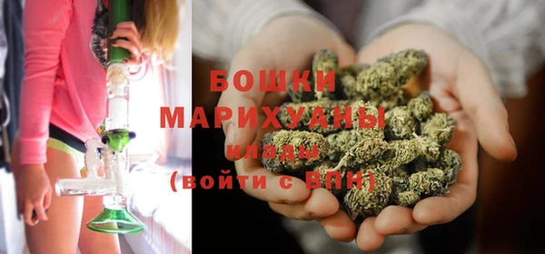 мдпв Верхний Тагил