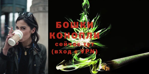 гидропоника Богданович