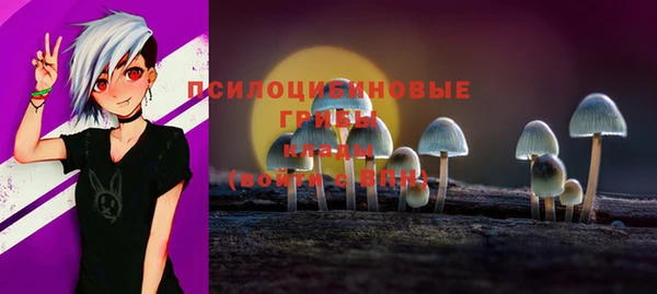 дживик Белокуриха