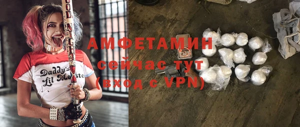 дживик Белокуриха
