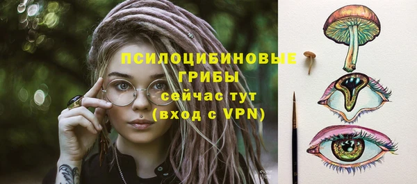 гидропоника Богданович